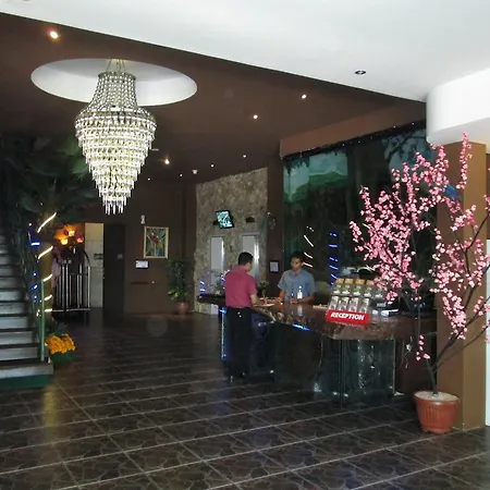 Pohon Inn Hotel-3